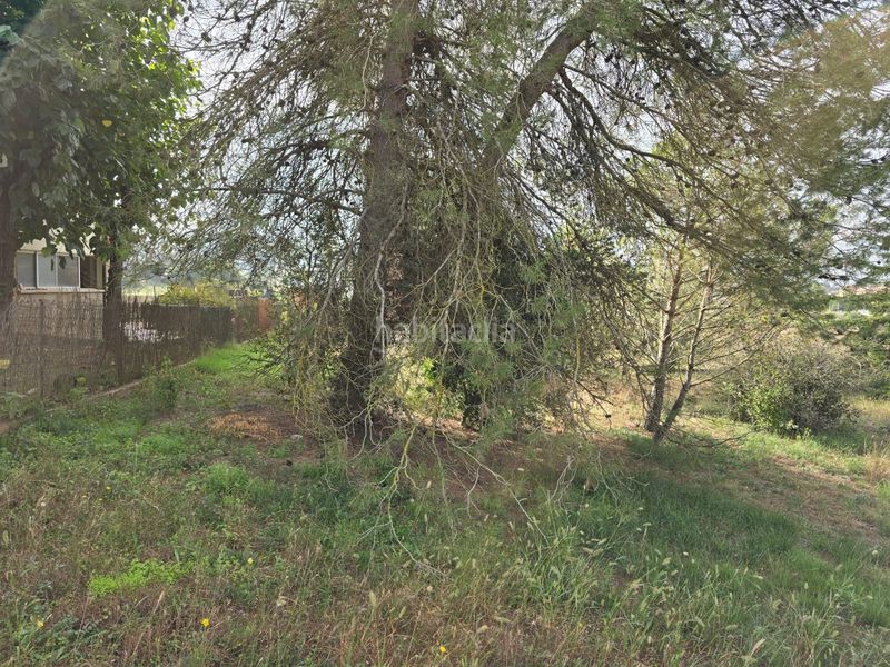 Foto d7d79b3d-9363-4e5e-a278-954388310d6c. Terreny residencial a Navarcles