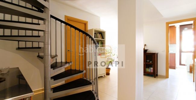 Foto a4da9de6-d553-4900-b3f2-edcf4ee29d34. Pis a Palau Girona