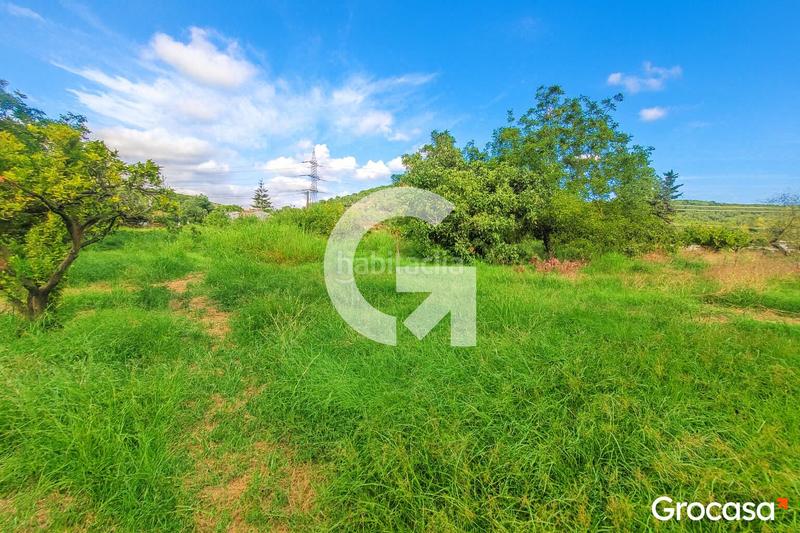 Foto 15937b62-7b10-4662-97b9-f98a5e3aa8b2. Masía maravilloso terreno con casa ! en Mas Trader-Corral d´En Tort-Corral d´En Cona Cubelles