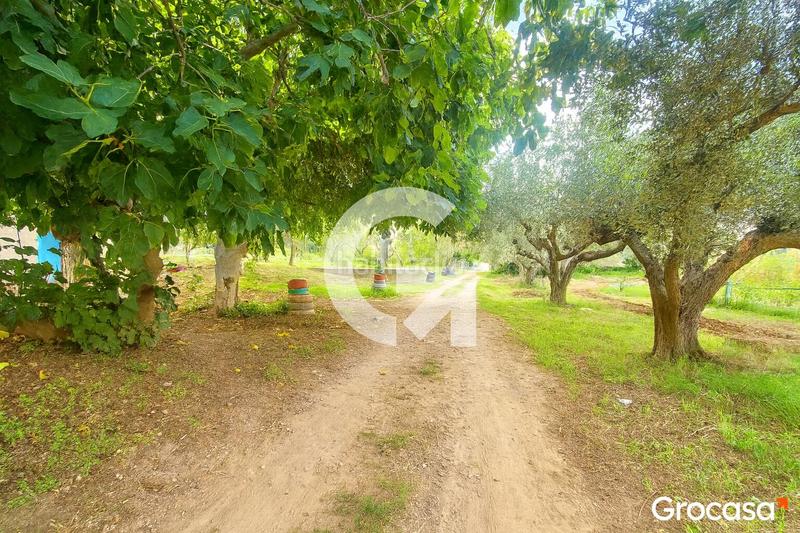 Foto 320a8990-fdc5-42d3-a8a6-fa069b54041c. Masía maravilloso terreno con casa ! en Mas Trader-Corral d´En Tort-Corral d´En Cona Cubelles