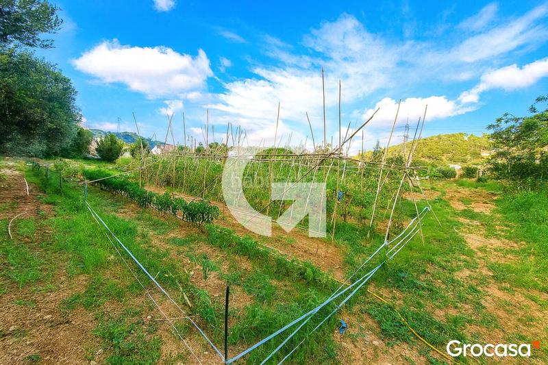 Foto 55a34c24-6ace-4826-8621-1da747d548f3. Masía maravilloso terreno con casa ! en Mas Trader-Corral d´En Tort-Corral d´En Cona Cubelles