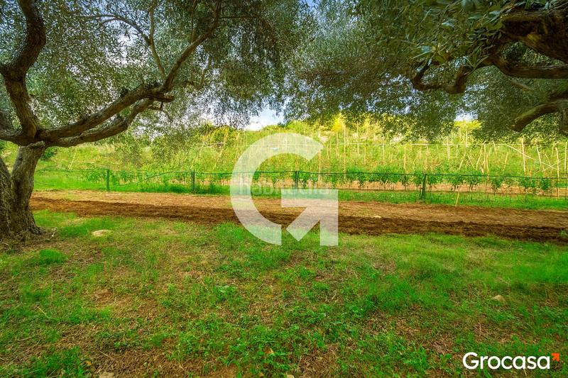 Foto 566840cf-9745-4e3a-a1ee-fdb1e35451d5. Masía maravilloso terreno con casa ! en Mas Trader-Corral d´En Tort-Corral d´En Cona Cubelles