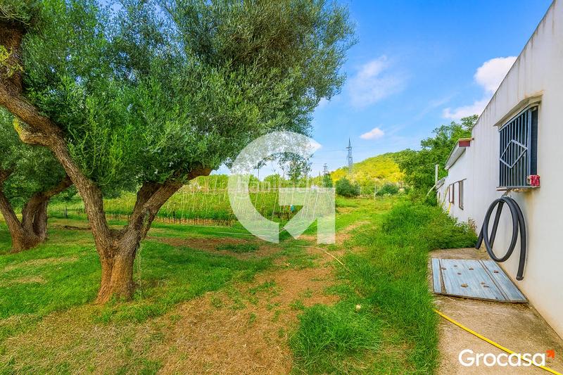 Foto 95d9a135-23be-4e5e-b76d-4ff37448ff10. Masía maravilloso terreno con casa ! en Mas Trader-Corral d´En Tort-Corral d´En Cona Cubelles