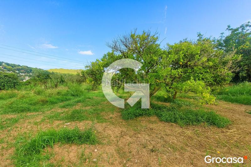 Foto b5224d83-617b-496c-bb3d-4058aae98c21. Masía maravilloso terreno con casa ! en Mas Trader-Corral d´En Tort-Corral d´En Cona Cubelles