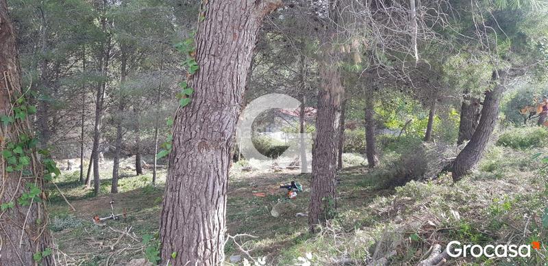 Foto 5ee552b8-7ff2-48bf-9c8f-ba25aa6ed3ff. Residential plot in Bisbal del Penedès (La)