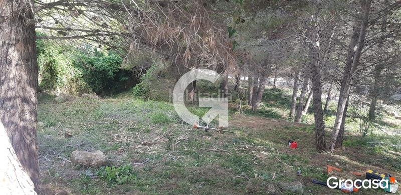 Foto fa187b6d-7749-4494-b30d-139f9ba6dac6. Residential plot in Bisbal del Penedès (La)