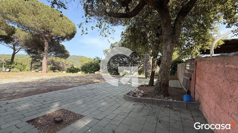 Foto 53a1ff6c-40ac-45c7-94c1-6676f995766b. Terreny residencial a Can Massuet del Far Dosrius