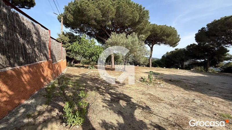 Foto 689cf3eb-6d52-4d27-8e2c-e16754d1f6bc. Terreny residencial a Can Massuet del Far Dosrius