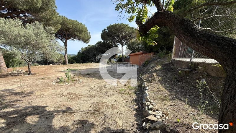 Foto 7653e456-2b19-4ff0-96ff-11792ceece24. Terreny residencial a Can Massuet del Far Dosrius