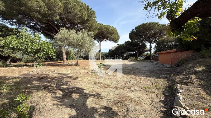 Foto 7d3338a6-f49a-49ed-ac63-0455b7f479a5. Terreny residencial a Can Massuet del Far Dosrius