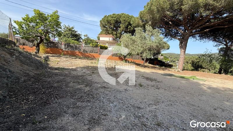 Foto b952980e-e802-49b5-b62a-d5c34675e630. Terreny residencial a Can Massuet del Far Dosrius