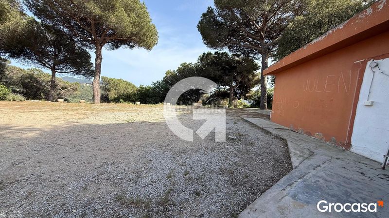 Foto c0658c19-b971-4e2f-a7cd-1c49360233ed. Terreny residencial a Can Massuet del Far Dosrius