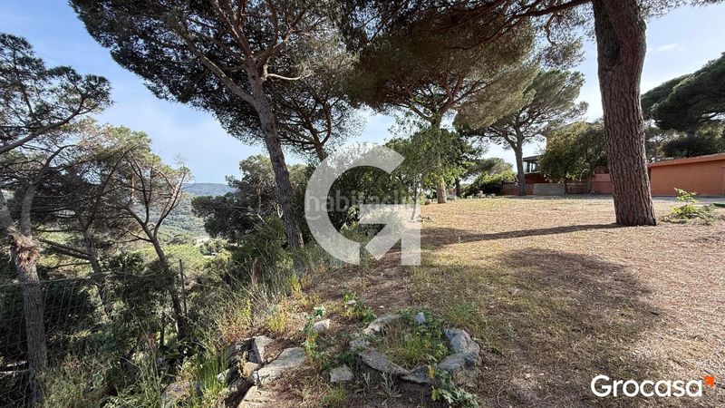 Foto e862f3ae-4f76-477a-a8ab-5579e01783ee. Terreny residencial a Can Massuet del Far Dosrius