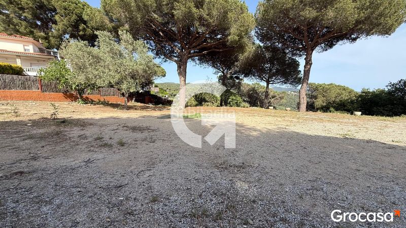Foto f8fb6fdc-b1b8-4927-a6f1-2646050aeca3. Terreny residencial a Can Massuet del Far Dosrius