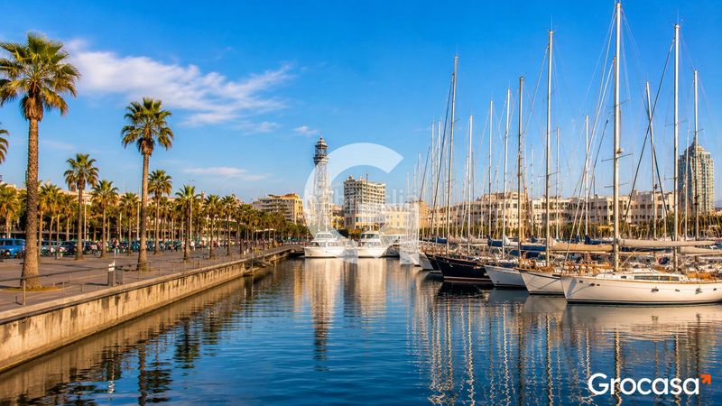 Foto 64b8e170-68c5-443d-b311-a0d73a076437. Pis a Barceloneta Barcelona