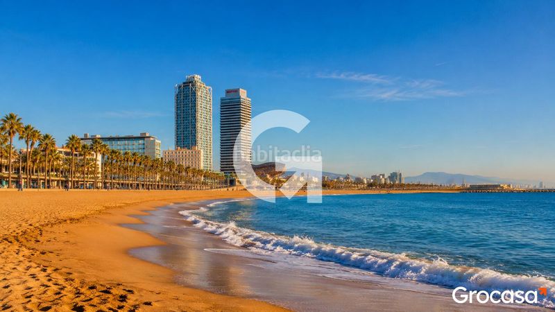 Foto b8d7e6c0-a88b-4660-ac09-2feb60fd1c5c. Pis a Barceloneta Barcelona