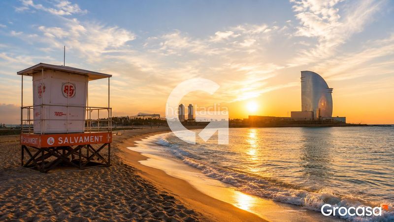 Foto f66c3269-9795-4798-90b2-877622e71a5c. Pis a Barceloneta Barcelona