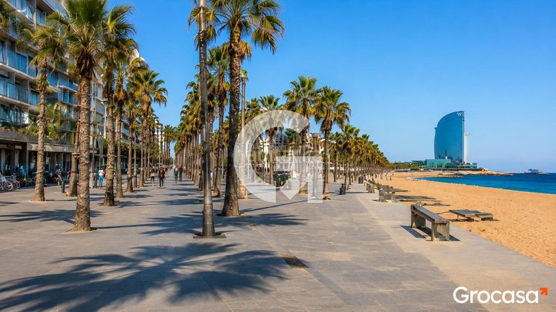 Foto f913084e-43fc-4f31-bb29-322087232e0f. Pis a Barceloneta Barcelona