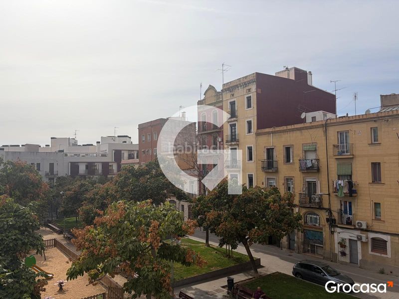Foto 49349df2-4ba1-42da-a4e0-b8a2c618037d. Pis a Hostafrancs Barcelona