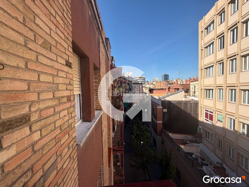 Foto c03ae80f-ed4f-44c3-9392-460c82093700. Pis a Hostafrancs Barcelona