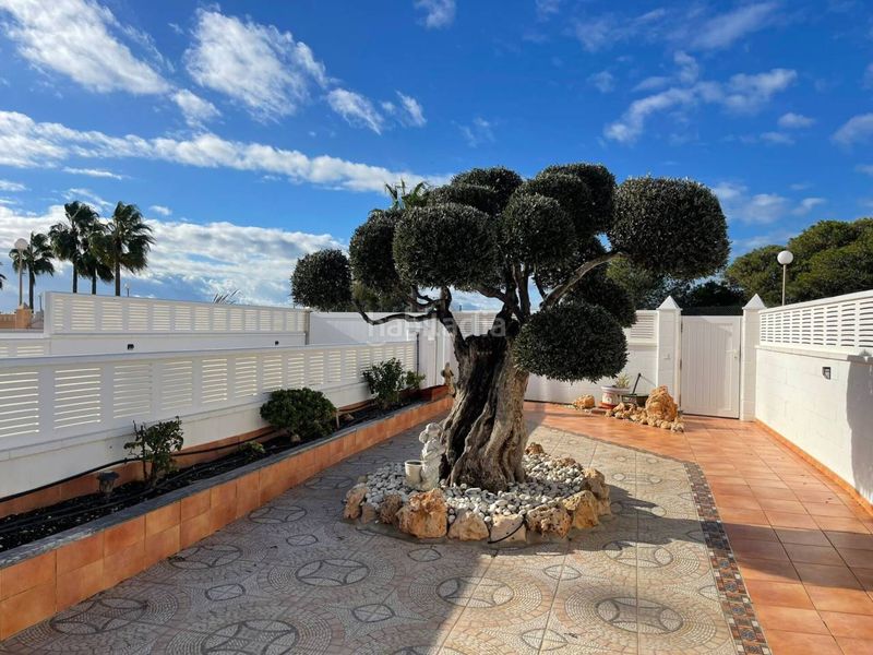Foto d0352809-510f-4f4a-b61d-091eed345f72. Casa adossada amb calefacció aparcament piscina a Ejido (El)