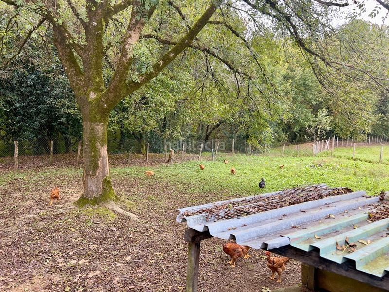 Foto ca29f3de-64a2-4100-a5ca-b6cc2c67daa5. Haus mit heizung parking in Oiartzun