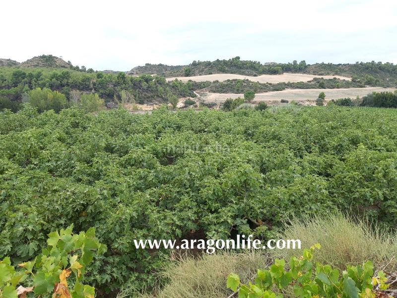 Foto 05fec28d-ced8-4472-ba55-7cf1474af927. Finca rústica a Caspe