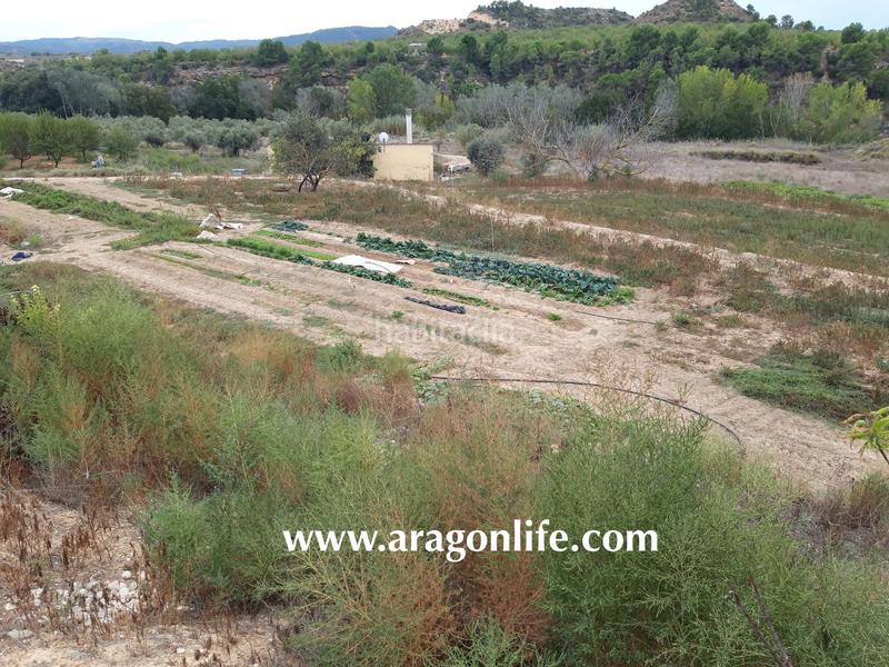 Foto 707fcae7-134e-4db1-ab50-2659576dfb4a. Finca rústica a Caspe