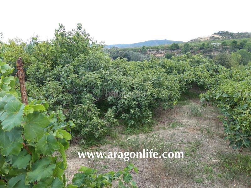 Foto cfec5d02-0eec-419a-bb5c-dc2224ccdd42. Finca rústica a Caspe