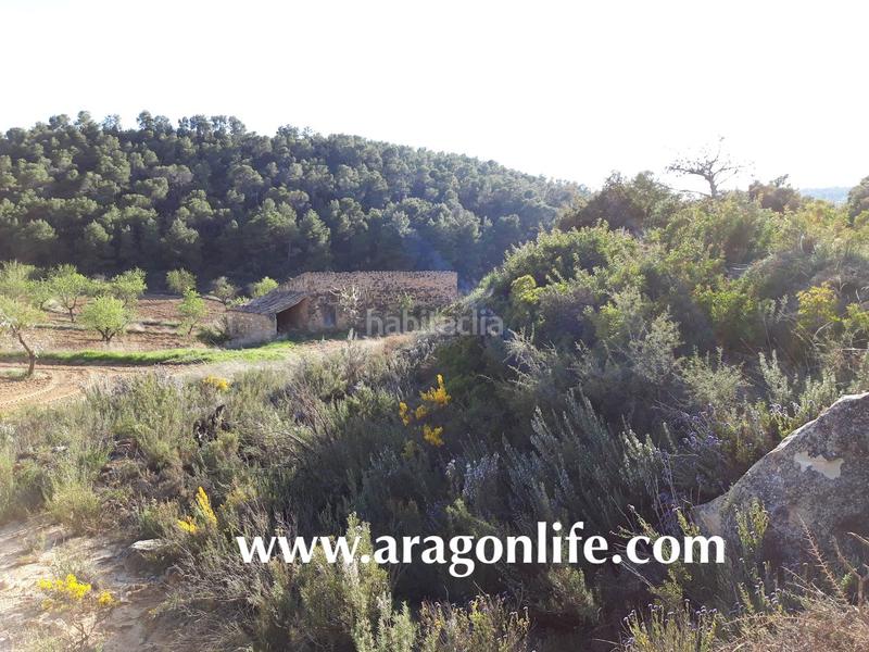 Foto 16effa06-442a-4c3c-80ca-92e15172a073. Finca rústica a Maella