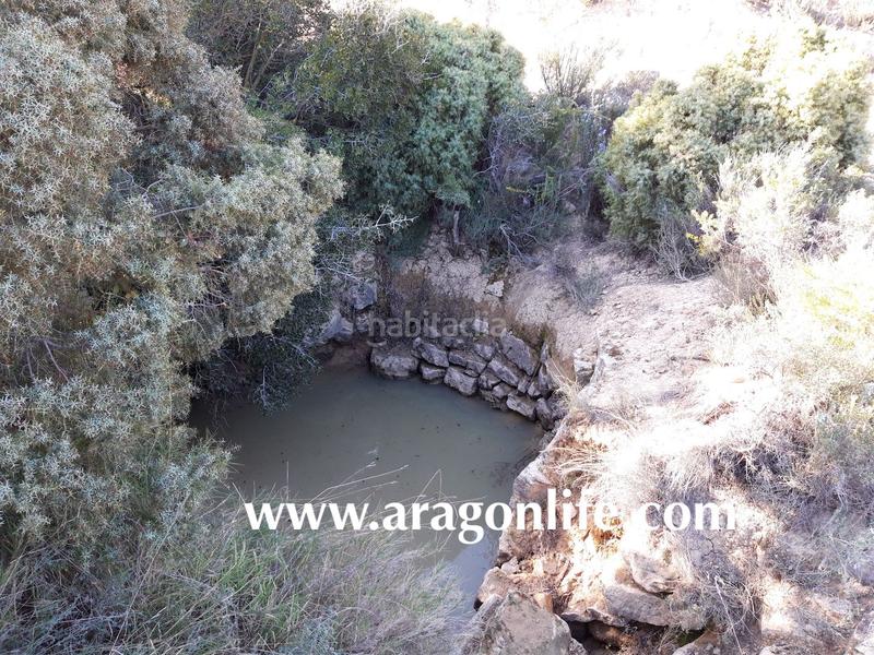 Foto 1d20ccd6-67bf-4943-9f7b-b7eed79b0e2c. Finca rústica a Maella