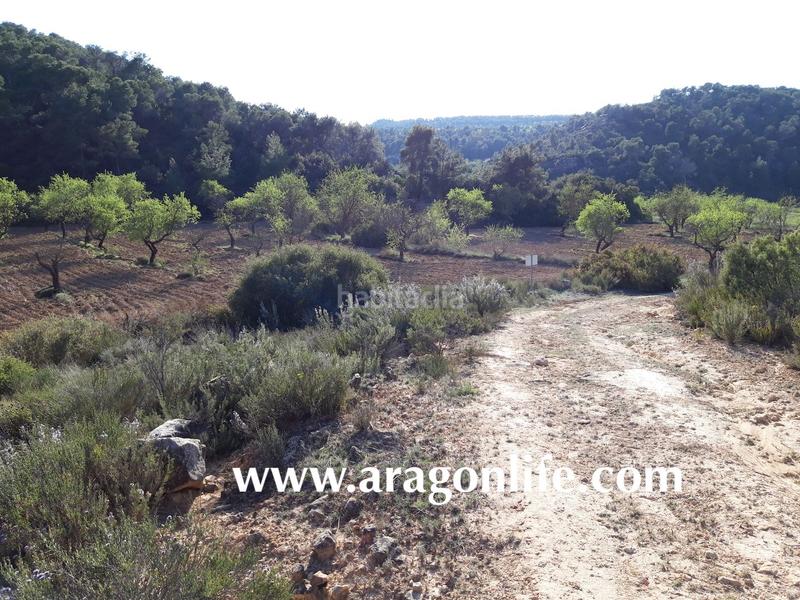 Foto 3ec22f54-173b-4acf-8046-78a32f3eb2ed. Finca rústica a Maella