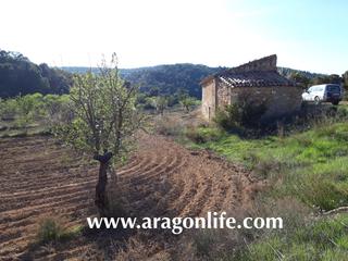Finca rústica a Maella. Finca muy privada, en plena naturaleza