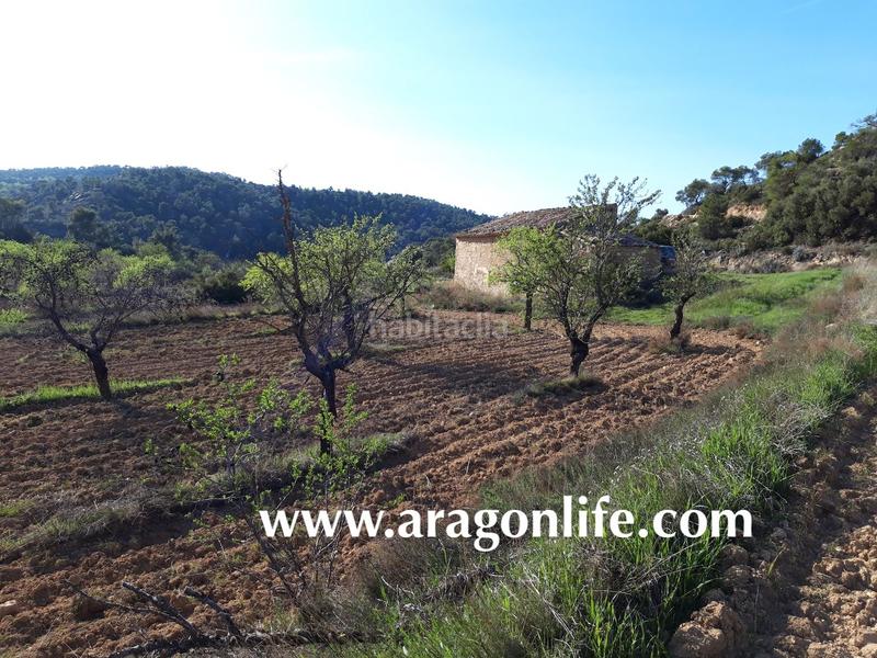 Foto 587a650b-cc39-4802-b719-5c81c01da537. Finca rústica a Maella