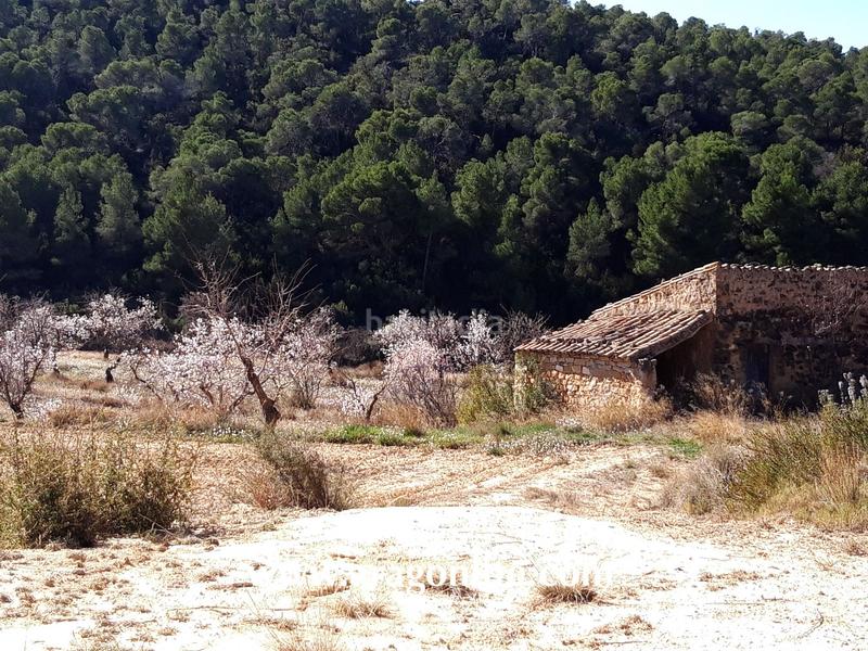 Foto 5d449f3b-cc8d-46fd-bc83-c41e1886ec5e. Finca rústica a Maella