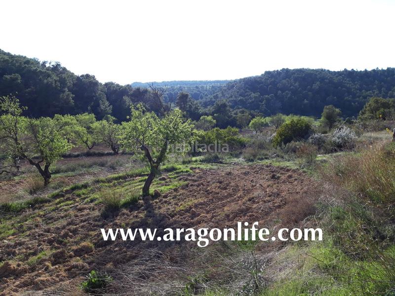 Foto 65c469a8-09ff-44e0-82ad-a7f71e9e52ba. Finca rústica a Maella