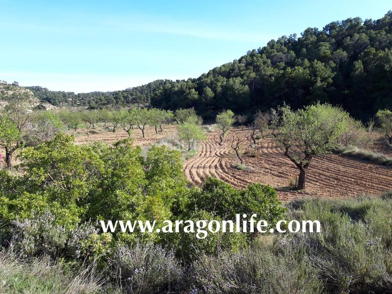 Foto 670bbbf9-23c9-4e9b-b536-b5879fe76879. Finca rústica a Maella