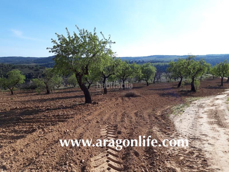 Foto 6a47a064-2653-4c35-a2e7-ee5bb76ea9ad. Finca rústica a Maella