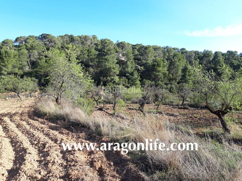 Foto 6db1e305-bef2-423e-85d0-1662c0eb45a8. Finca rústica a Maella