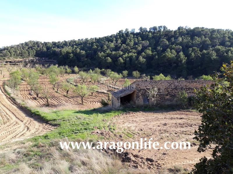 Foto 78f8face-22c1-4434-9c0d-58f77cc6d876. Finca rústica a Maella