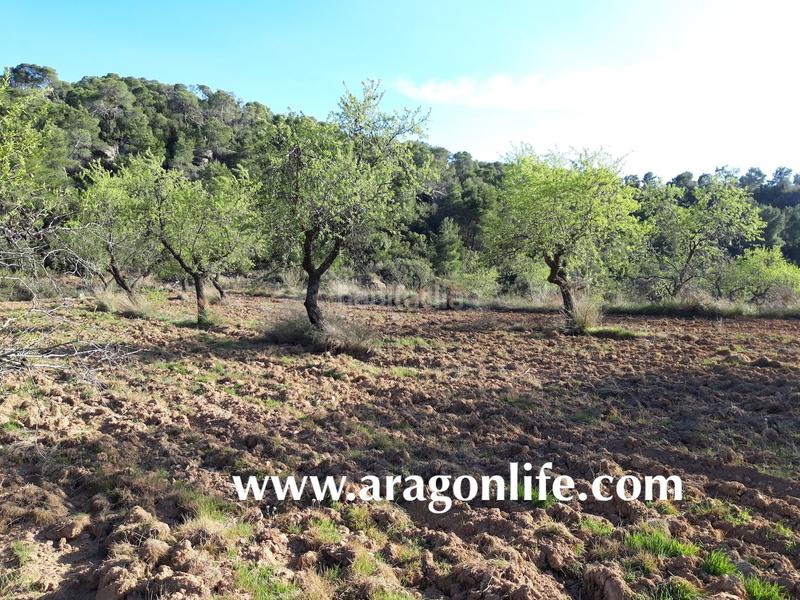 Foto 7d3a67d9-28cc-4596-9623-f379d97f77b6. Finca rústica a Maella