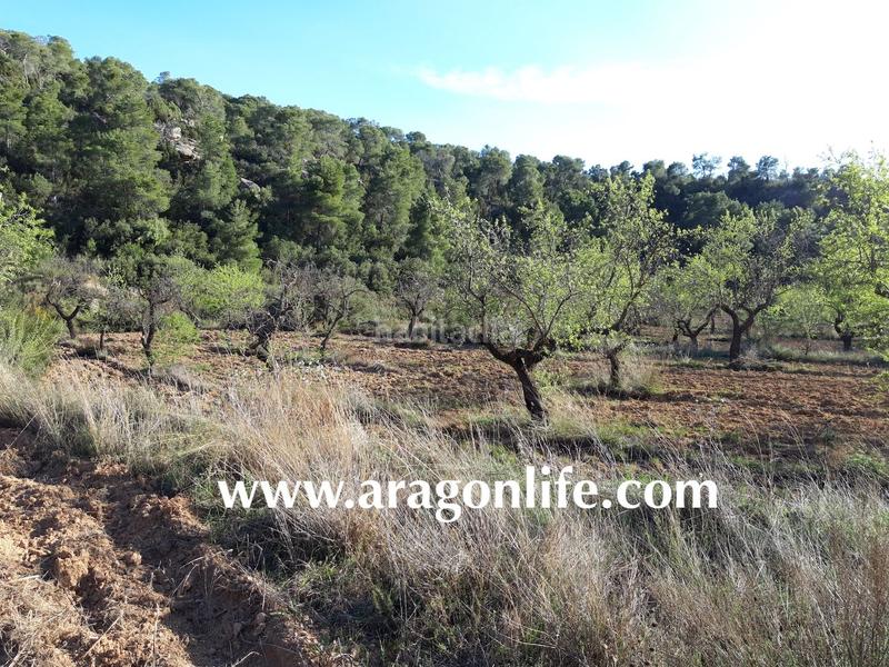 Foto 8a4a27a4-edf5-4772-87ce-60e148892d08. Finca rústica a Maella