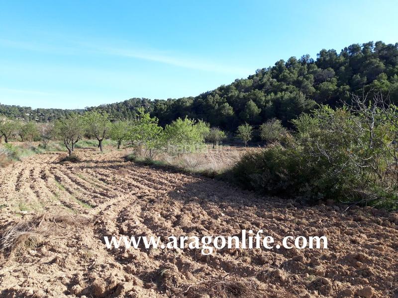 Foto 94d44b1e-0e45-4296-8225-ec1d22884fd3. Finca rústica a Maella