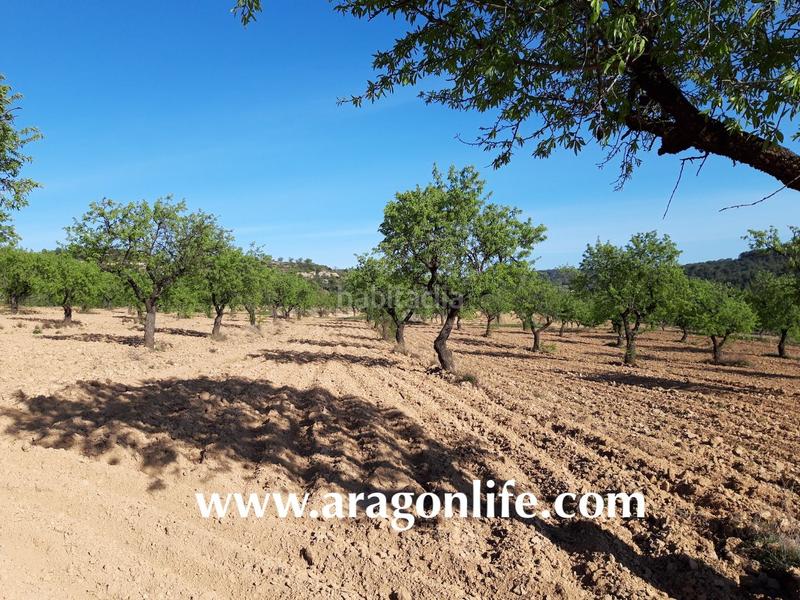 Foto 962c9db3-0fd8-43bc-a46c-2d696bbcceba. Finca rústica a Maella