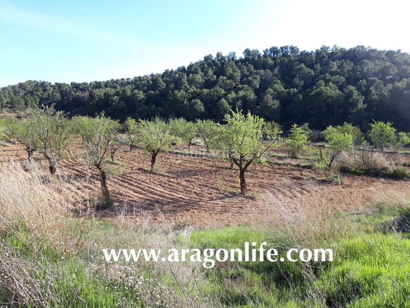 Foto b4ff0798-87db-4a84-a654-5d483be2d272. Finca rústica a Maella