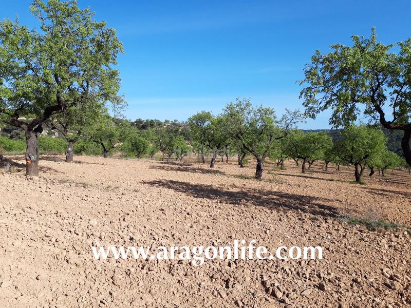 Foto bb1c7ee4-9b95-45c8-89e1-6023851db476. Finca rústica a Maella