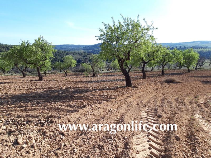 Foto cc0eb385-03e2-41ff-a2f9-79db3f231ce8. Finca rústica a Maella