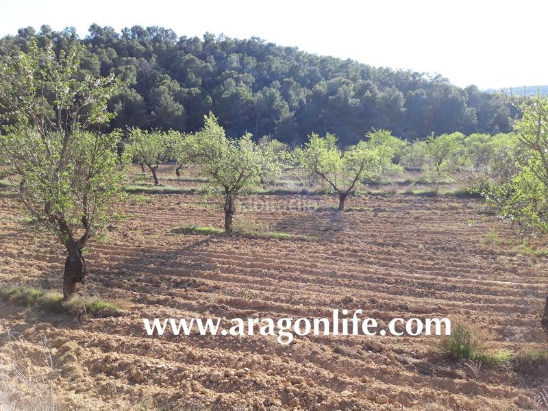 Foto f6b96627-0f7f-4eb6-9db3-c48c30f8bd35. Finca rústica a Maella