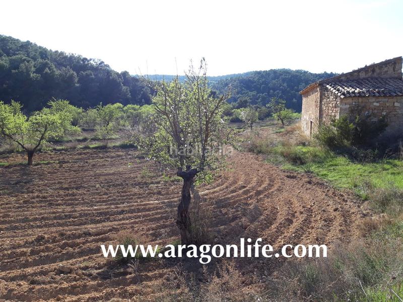 Foto f81b083a-6cf3-4776-b95c-5daf0ac6bc67. Finca rústica a Maella