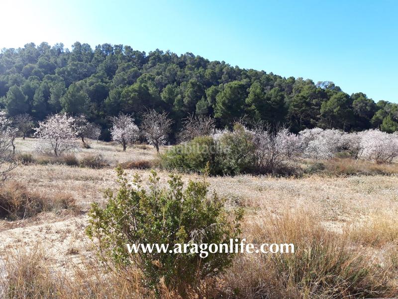 Foto f855d2e0-fa97-41b2-b61d-067ed07055cf. Finca rústica a Maella